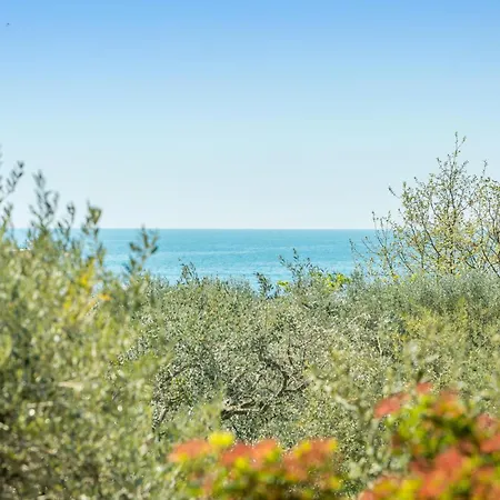 Apartment Lovely In With Wifi Lovrecica (Istria)